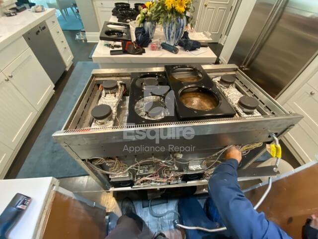 Viking spark module replacement